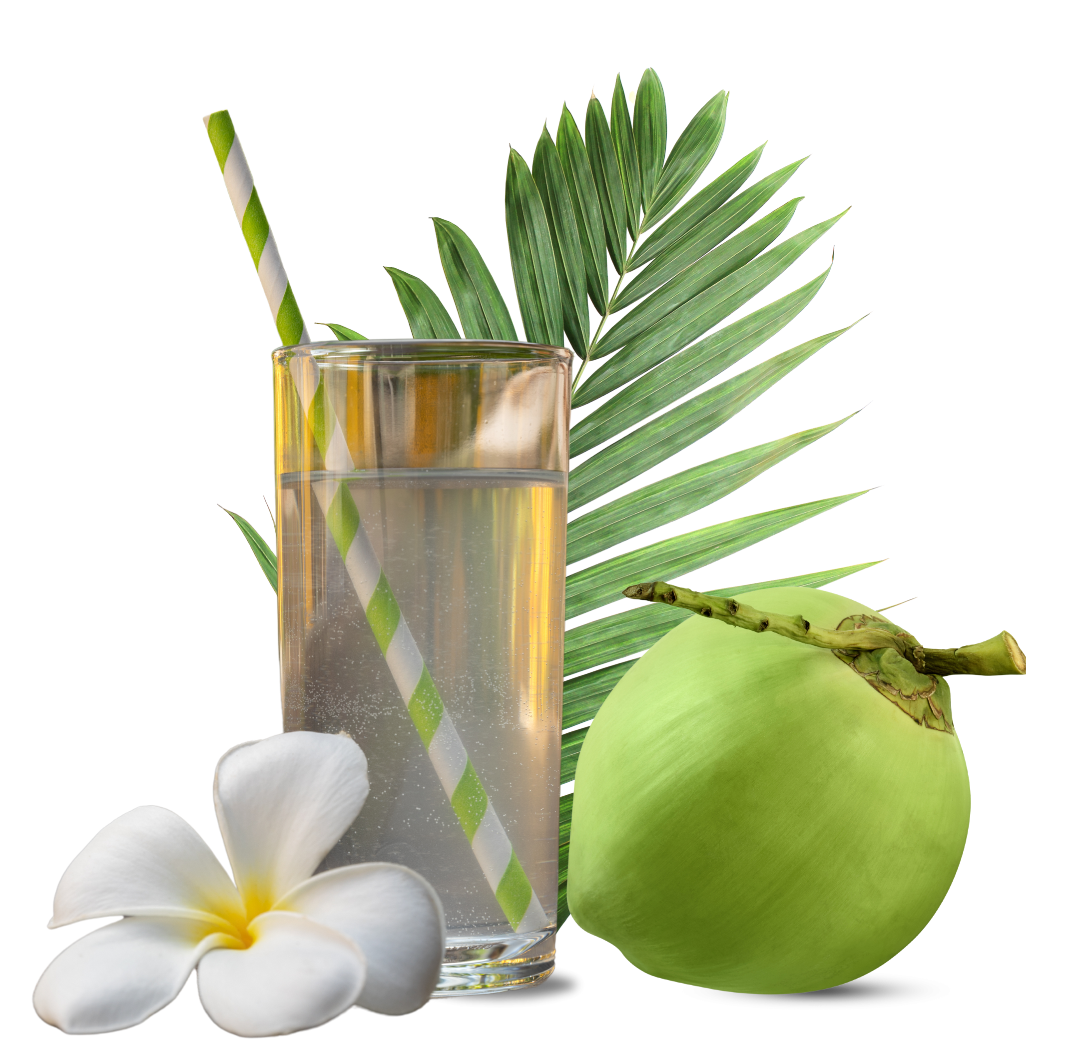 wholesale coconut water