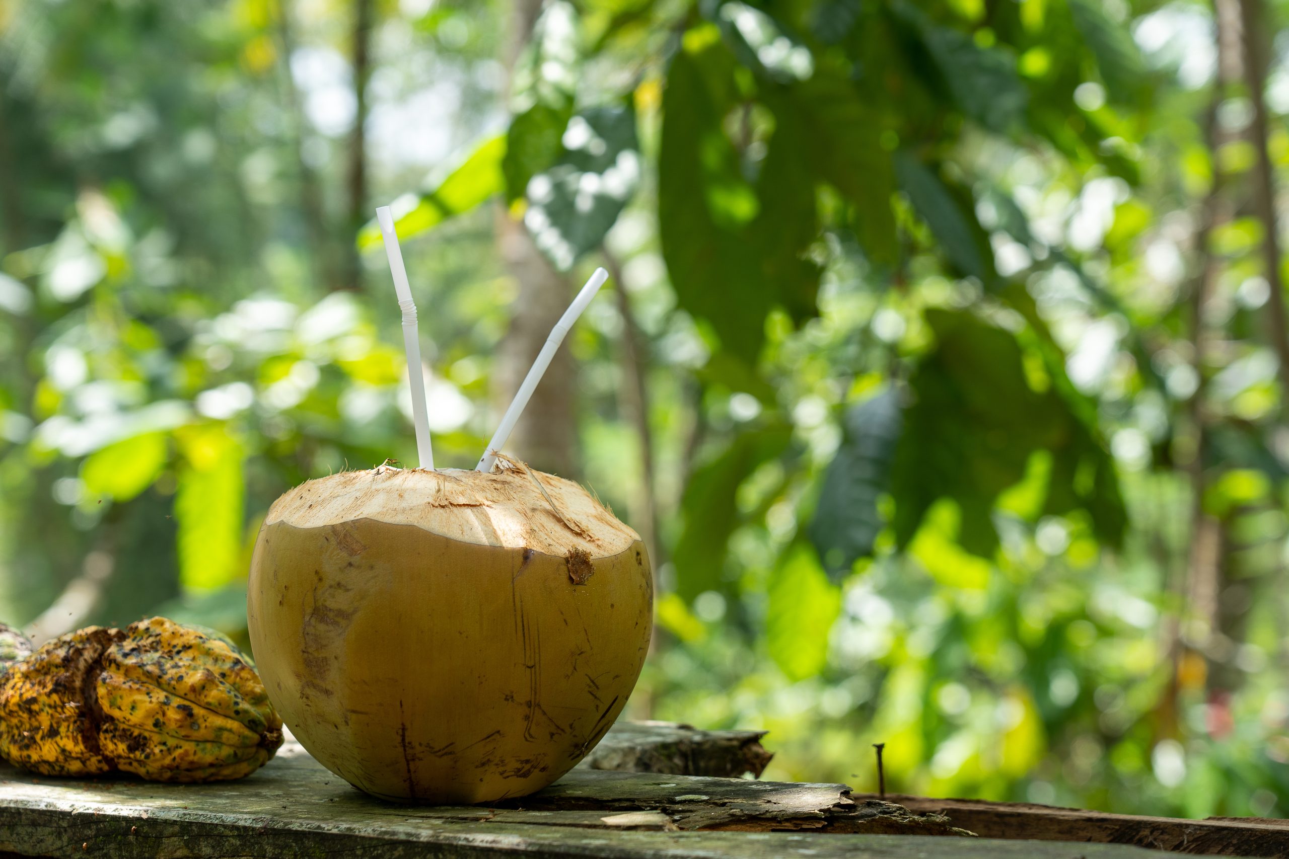 wholesale coconut water